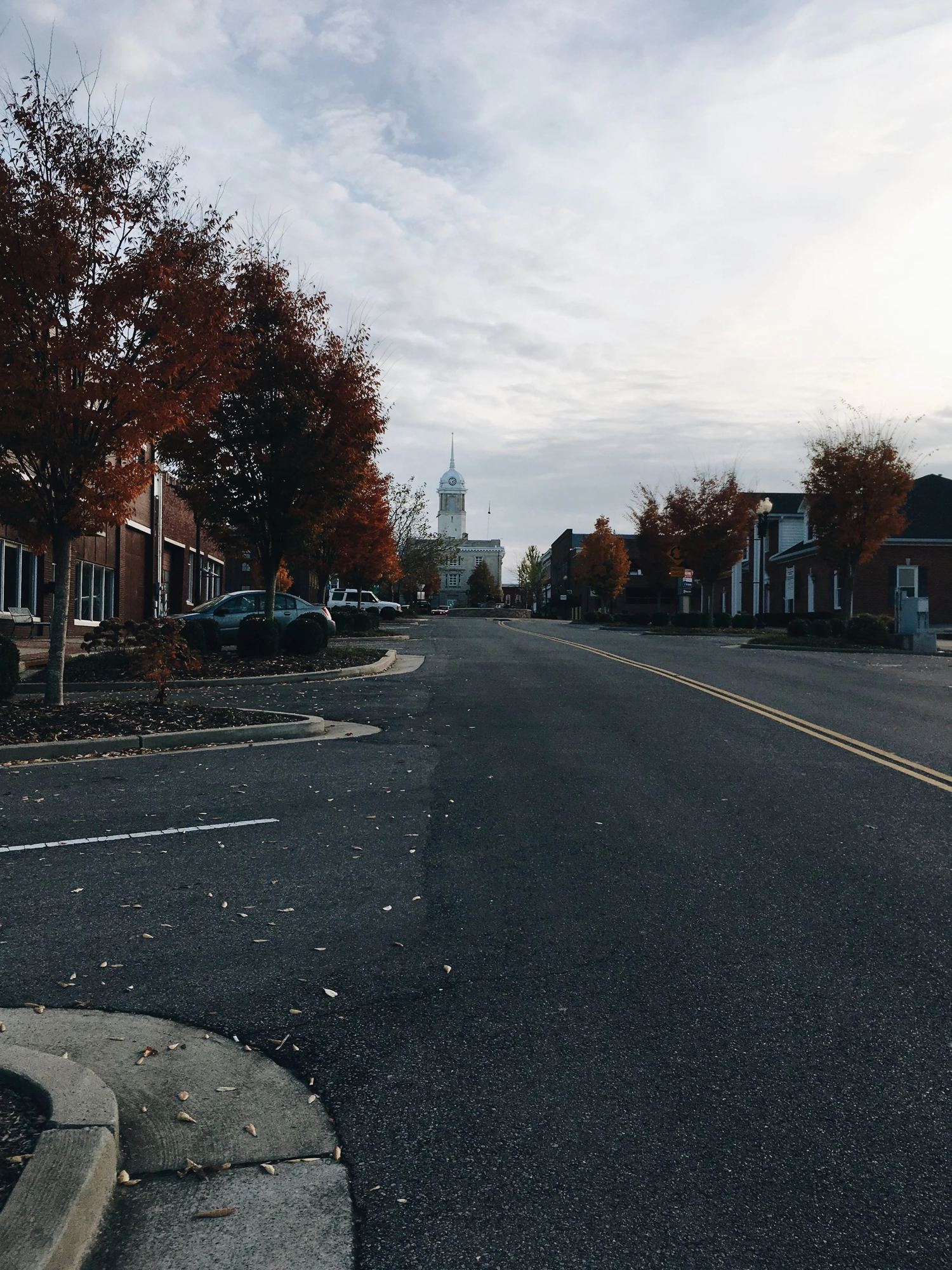 Trotwood Avenue in Columbia with red fall trees